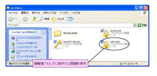 受け取った公開鍵を実行ファイルと同じ場所に保存